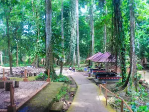 Air Terjun Saluopa