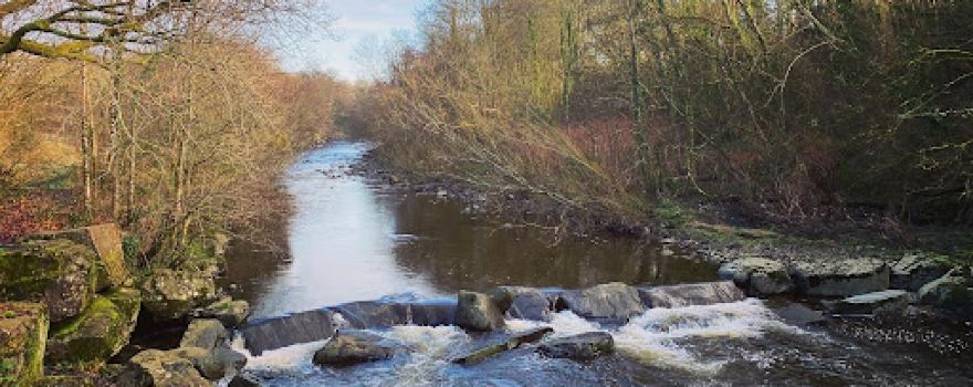 Betws Park