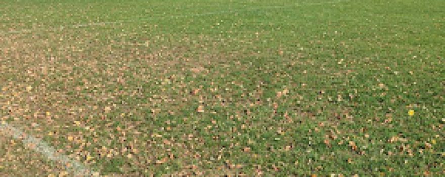 Sportplatz Kaiserplatz Calden