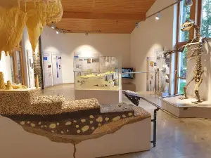 Laichinger Tiefenhöhle