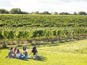 The Wine Stand at Wölffer Estate