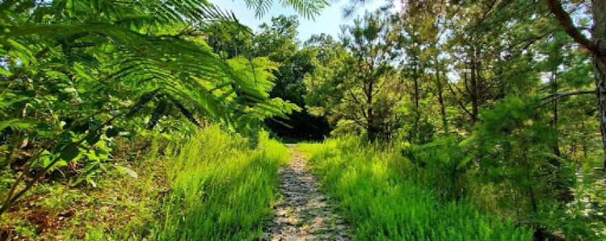 Egg Harbor Township Nature Reserve