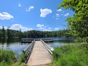 Hartwick Pines State Park
