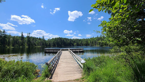 Hartwick Pines State Park