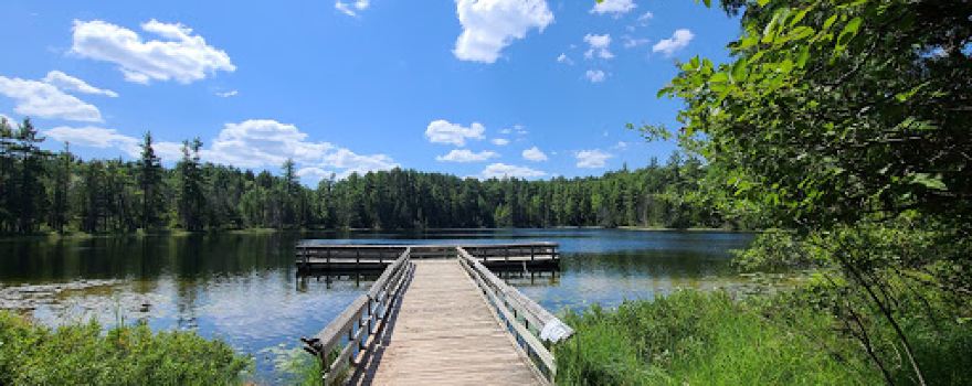 Hartwick Pines State Park