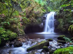 Serra dos Ancares