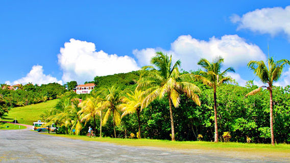 King Kong Extreme Zipline
