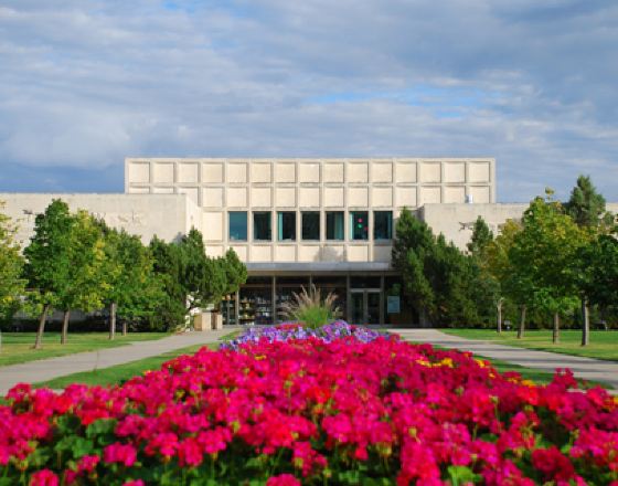 里賈納 自由行套票