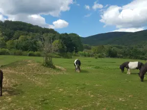 Giardino zoologico di Košice