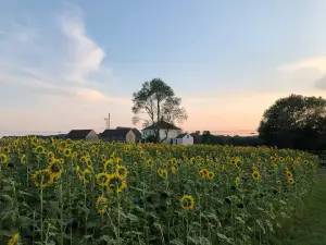 Buttonwood Farm Ice Cream