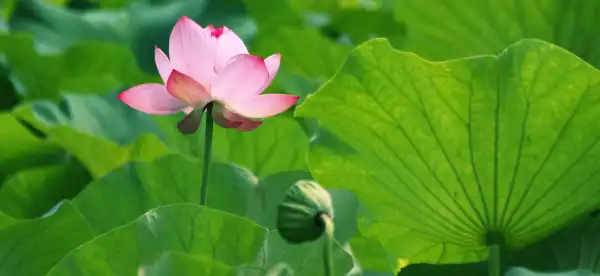行田のホテル