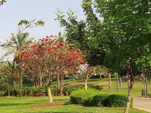 Isaac Wald Park - Kfar Saba Park