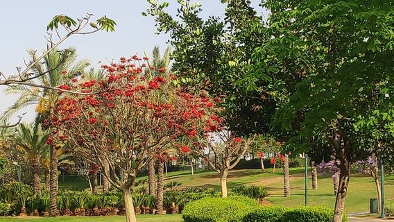 Isaac Wald Park - Kfar Saba Park