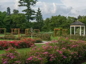 Malcolm Gross Rose Garden