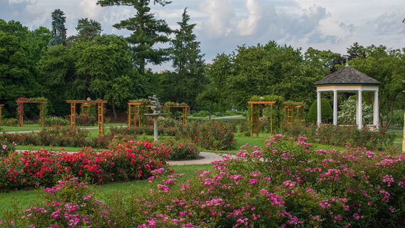 Malcolm Gross Rose Garden