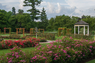Malcolm Gross Rose Garden