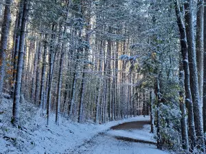 Huron Natural Area
