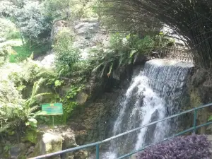 Cibolang Hot Spring Water