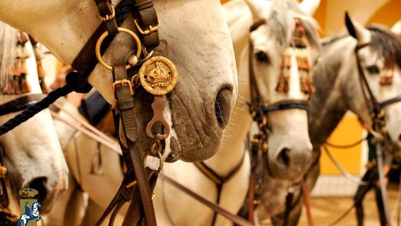 Royal Andalusian School of Equestrian Art