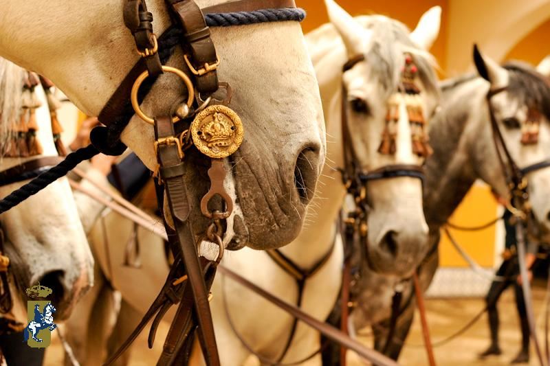 Royal Andalusian School of Equestrian Art