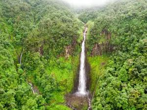 Carbet Falls (Les Chutes du Carbet)