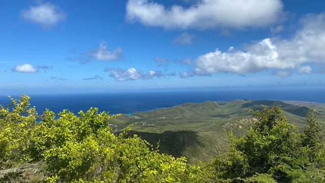 Christoffel Mountain