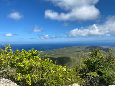 Christoffel Mountain