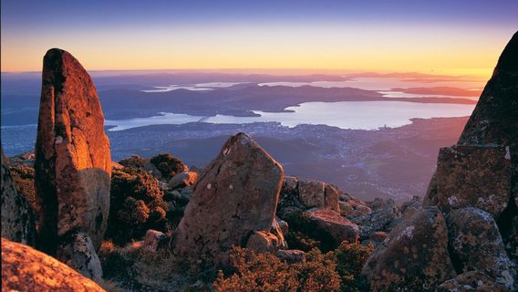 Mt Wellington Descent Bike Ride
