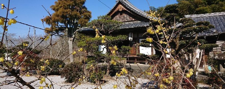 Usuki Sekibutsu