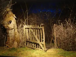 Museum d'Histoire Naturelle de Bourges