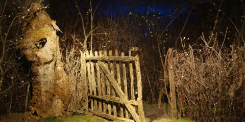 Museum d'Histoire Naturelle de Bourges