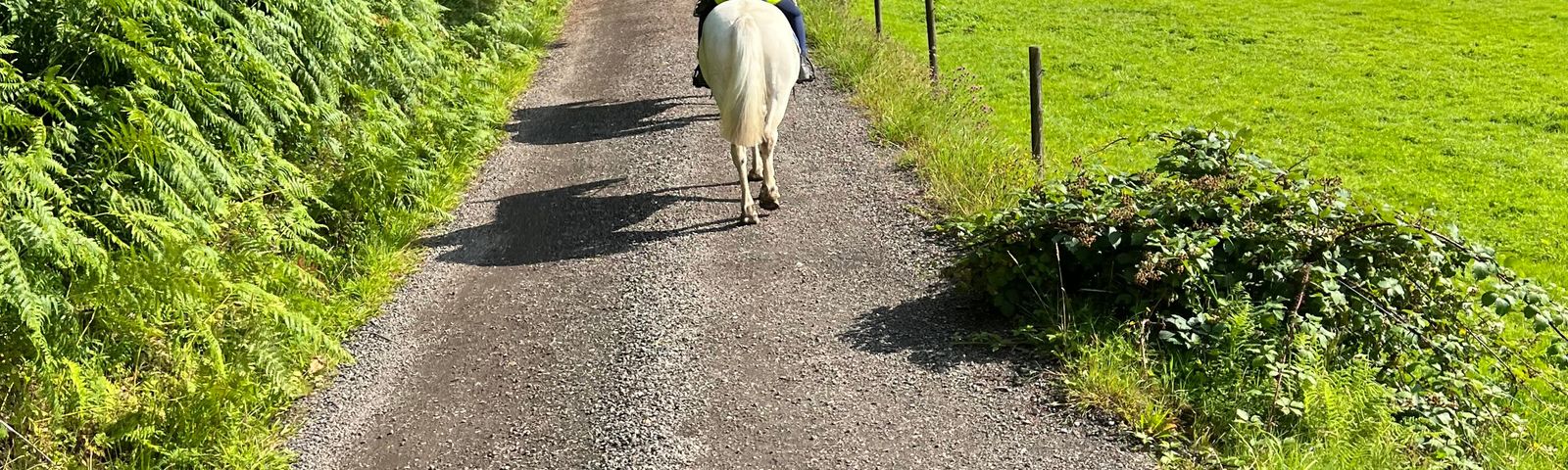 InverarayTours de un día
