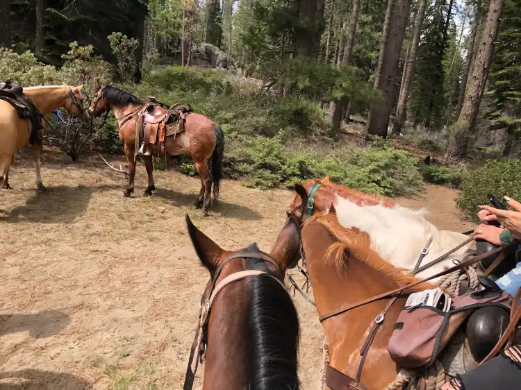 Hotels in Shaver Lake