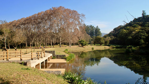 KZN National Botanical Garden (PMB)
