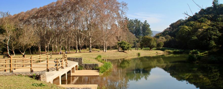 KZN National Botanical Garden (PMB)