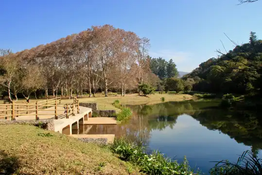 Hotels near KZN National Botanical Garden (PMB)