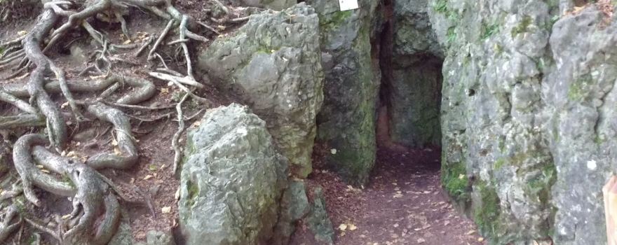 Rosenmüller Cave