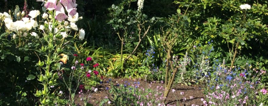 Moondance Manor Gardens