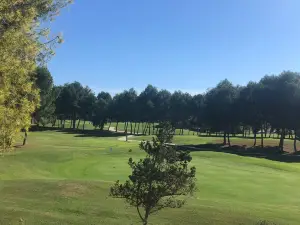 Club De Golf Altorreal
