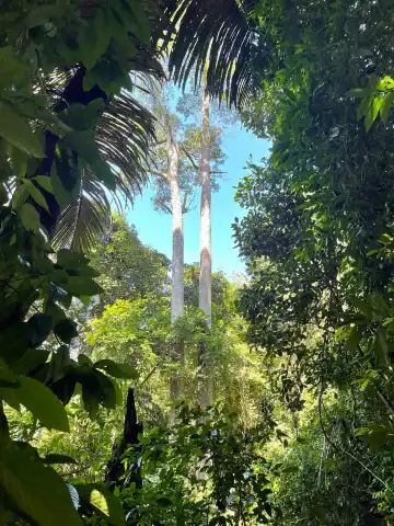 Hotels in der Nähe von Hin Lat Waterfall