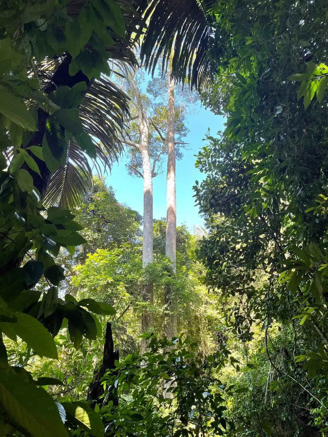 Hotel in zona Hin Lat Waterfall