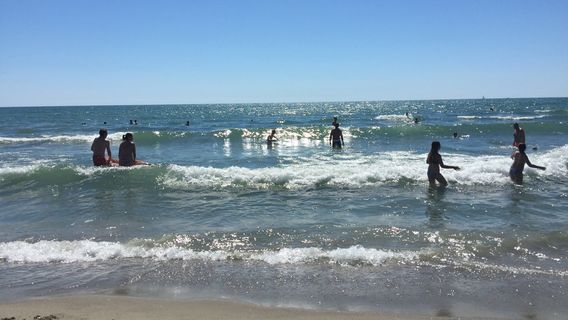Viareggio Free Beach Dock