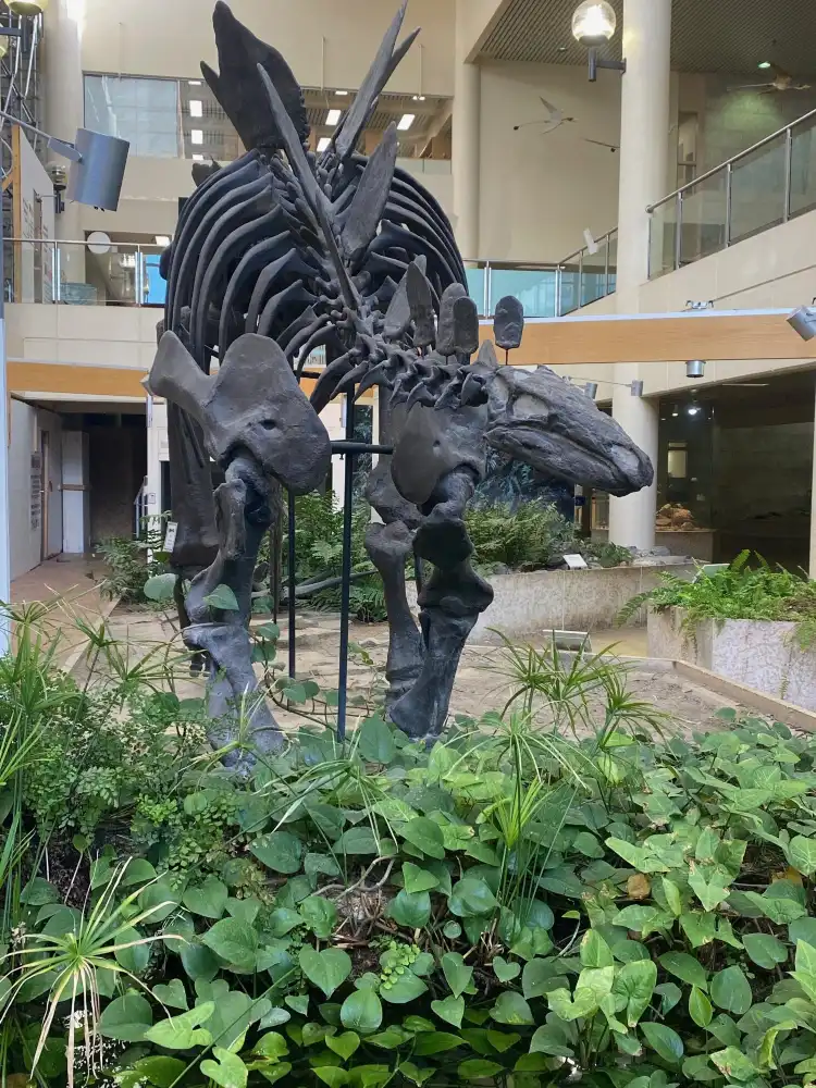 Các khách sạn gần Museum of Natural Sciences