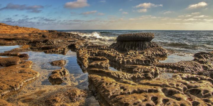 Mushroom Beach House