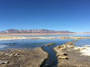 Aguas Termales de Polques