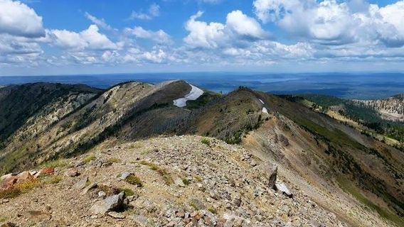 The Wildland Trekking Company