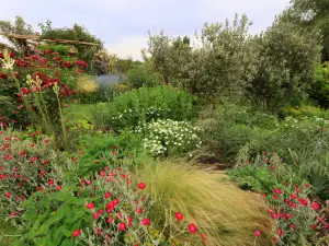 Les Jardins de Coursiana