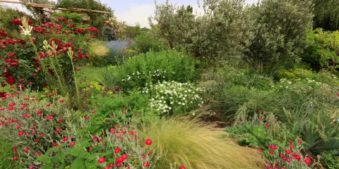 Les Jardins de Coursiana