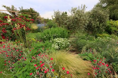 Les Jardins de Coursiana