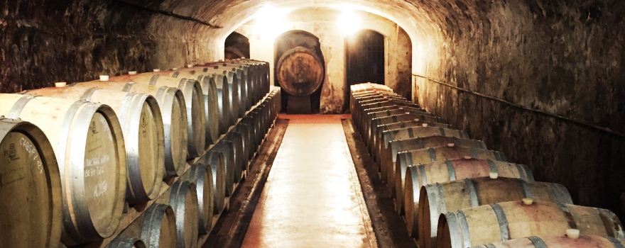 Tenuta Di Ghizzano